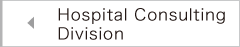 Hospital Consulting Division
